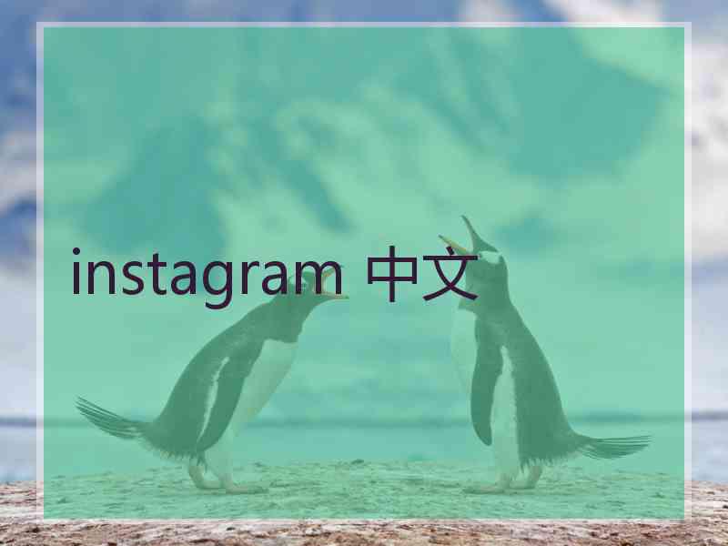 instagram 中文