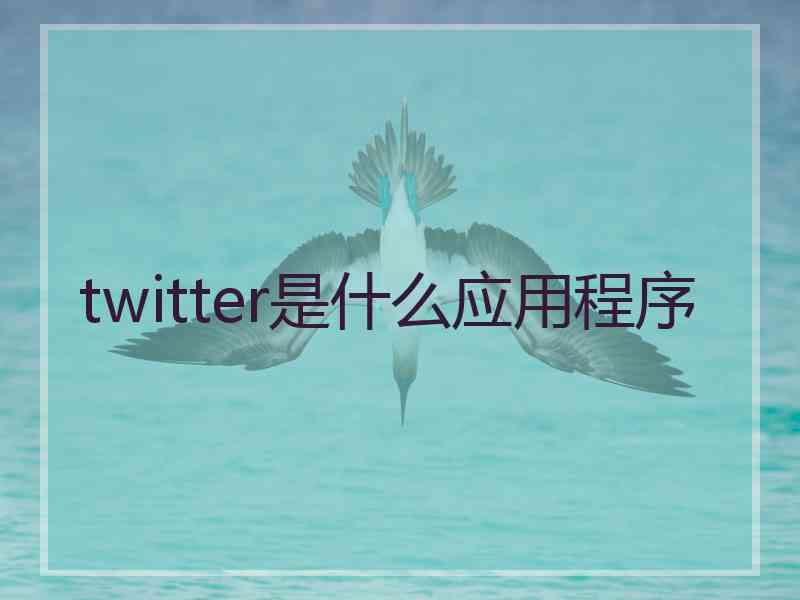 twitter是什么应用程序