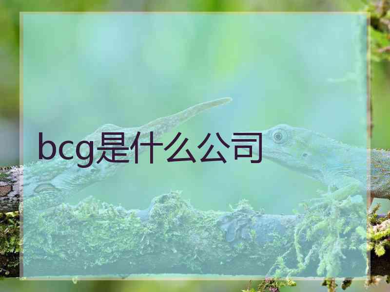 bcg是什么公司