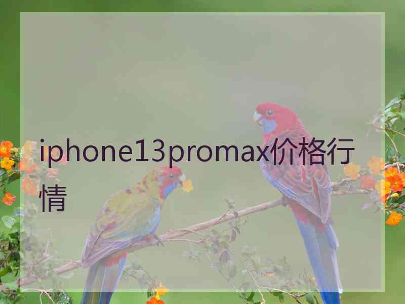 iphone13promax价格行情