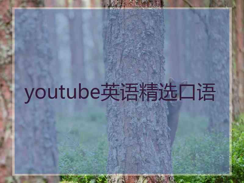 youtube英语精选口语