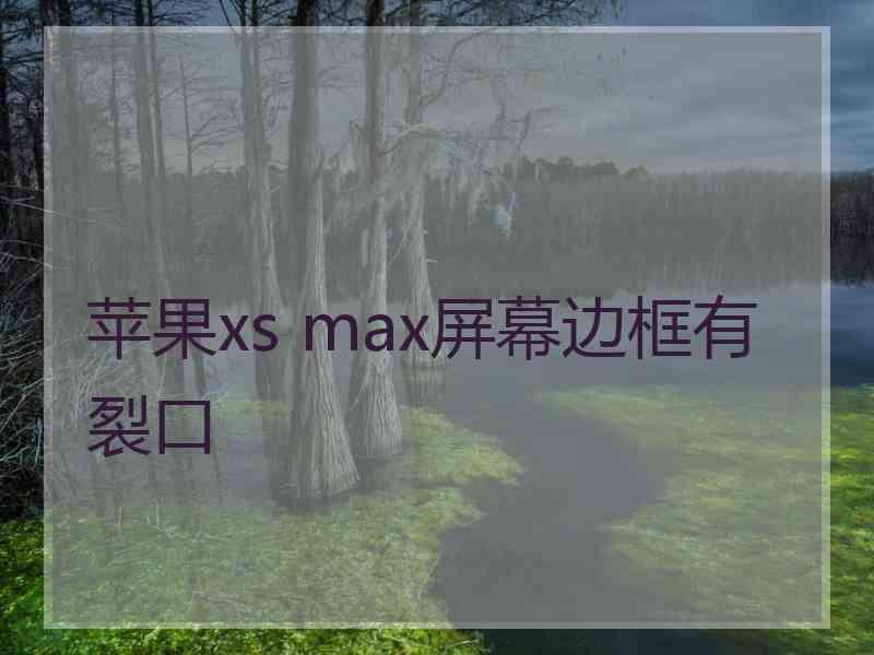 苹果xs max屏幕边框有裂口