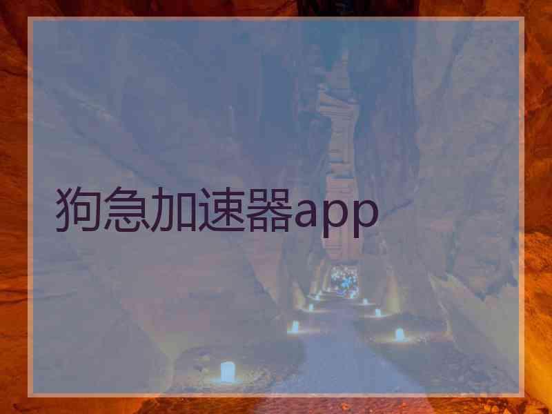 狗急加速器app