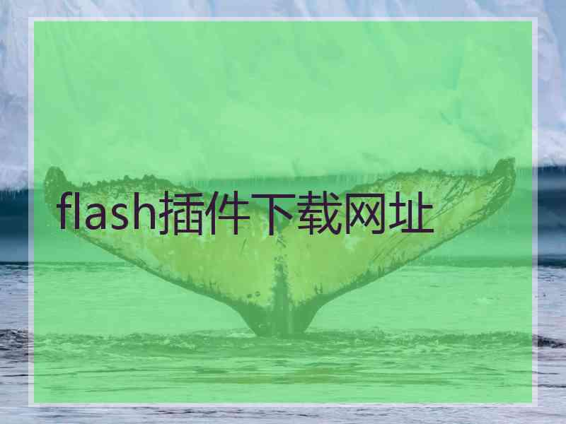 flash插件下载网址