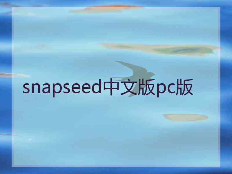 snapseed中文版pc版