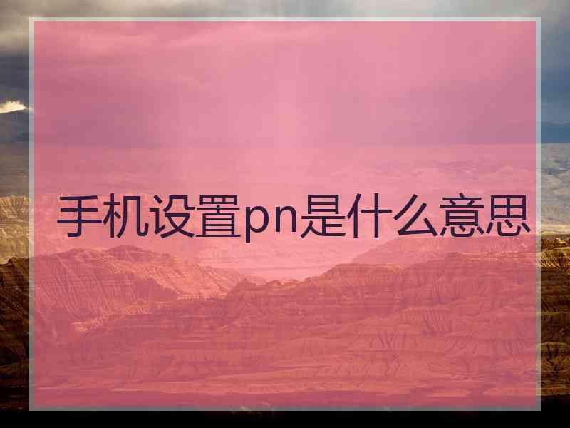 手机设置pn是什么意思