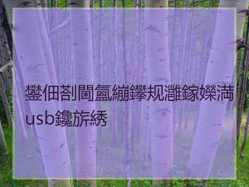 鐢佃剳閫氳繃鑻规灉鎵嬫満usb鑱旂綉