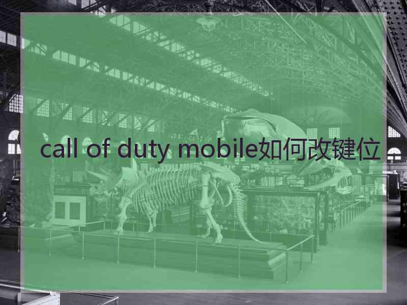 call of duty mobile如何改键位