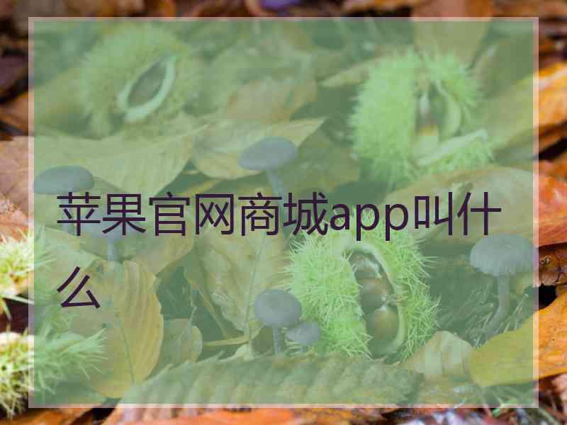 苹果官网商城app叫什么