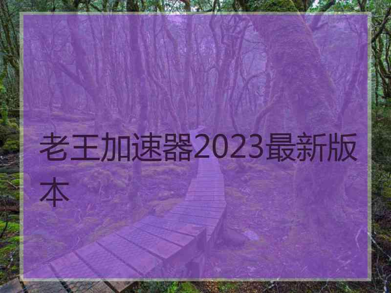 老王加速器2023最新版本