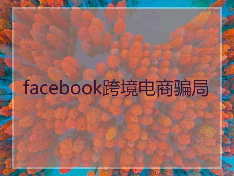 facebook跨境电商骗局