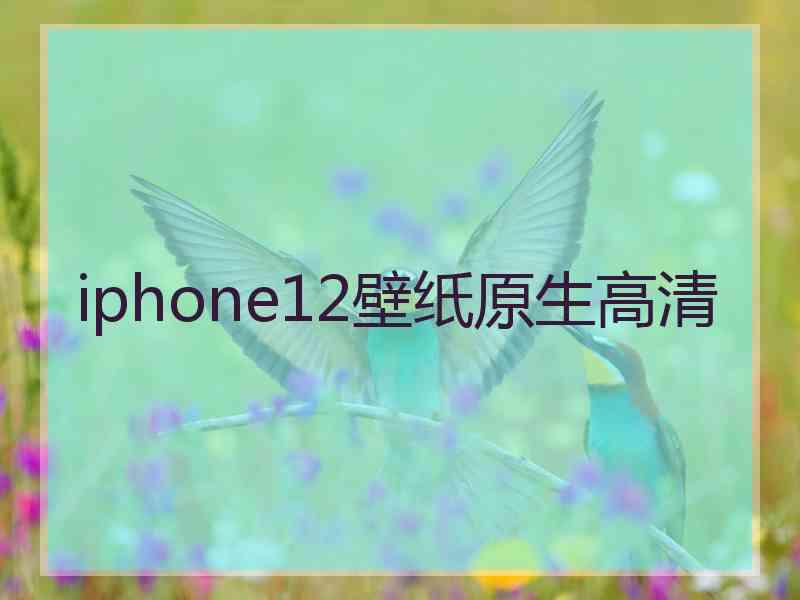 iphone12壁纸原生高清