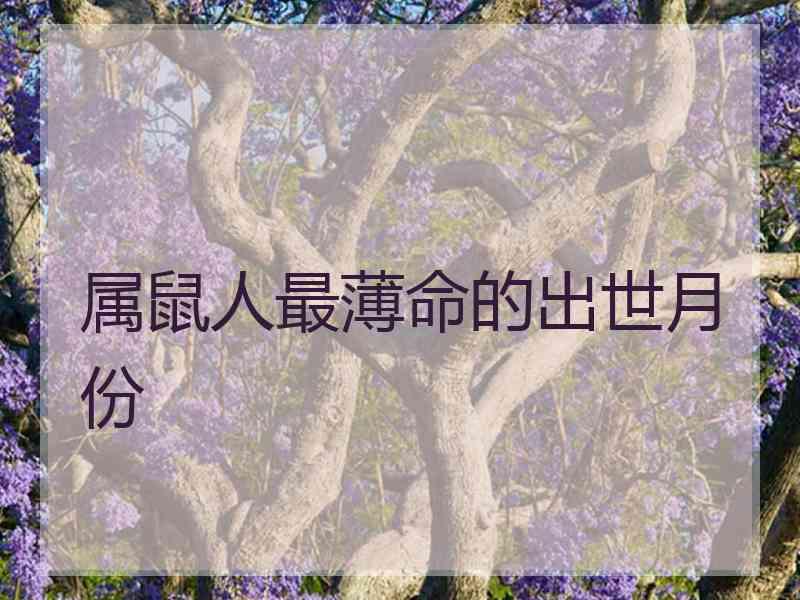 属鼠人最薄命的出世月份