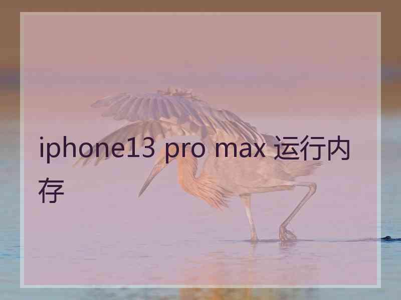 iphone13 pro max 运行内存