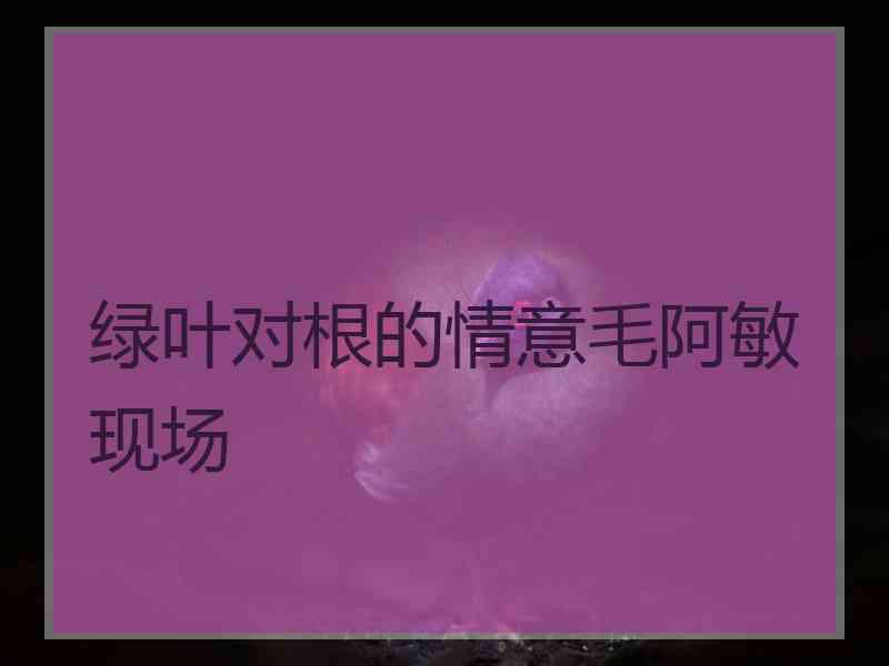 绿叶对根的情意毛阿敏现场