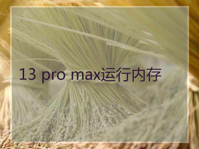 13 pro max运行内存