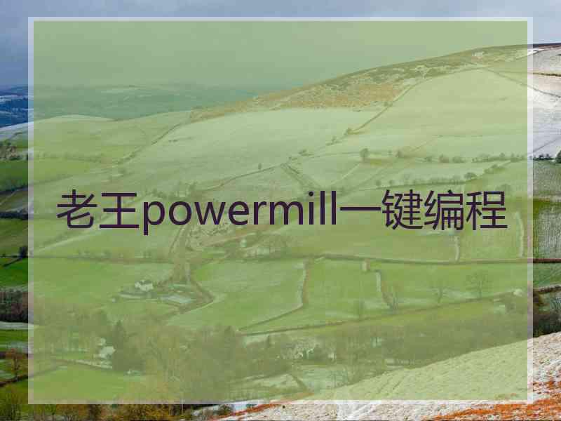 老王powermill一键编程