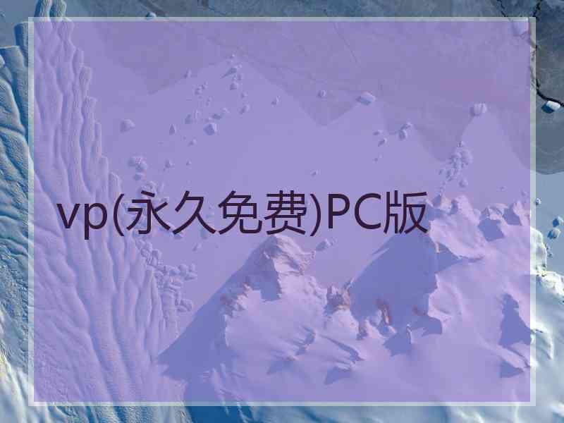 vp(永久免费)PC版