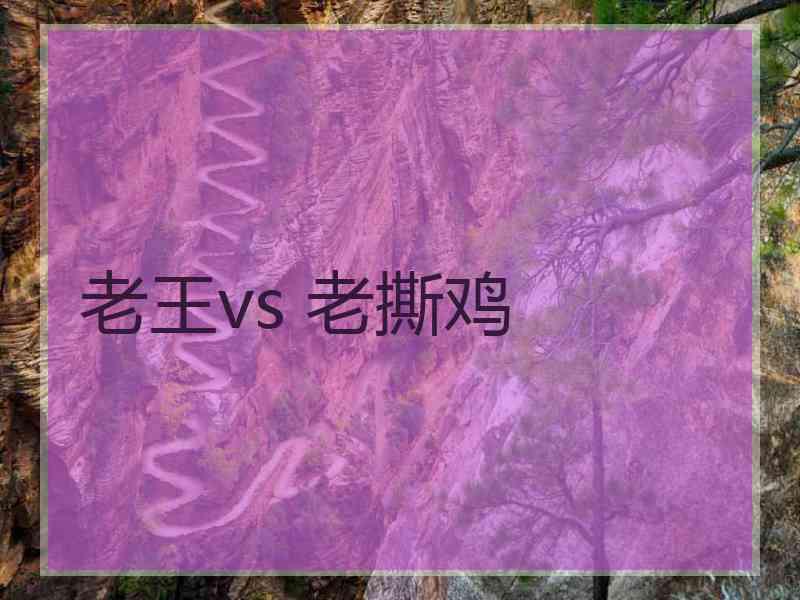 老王vs 老撕鸡