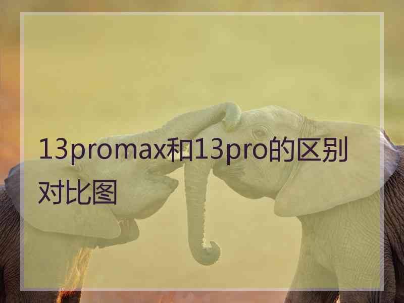 13promax和13pro的区别对比图