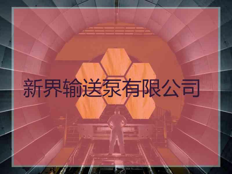 新界输送泵有限公司