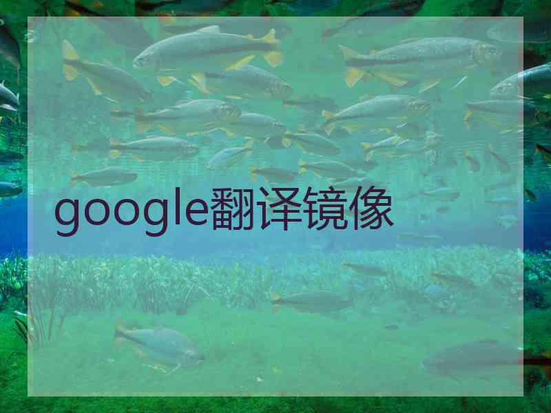 google翻译镜像