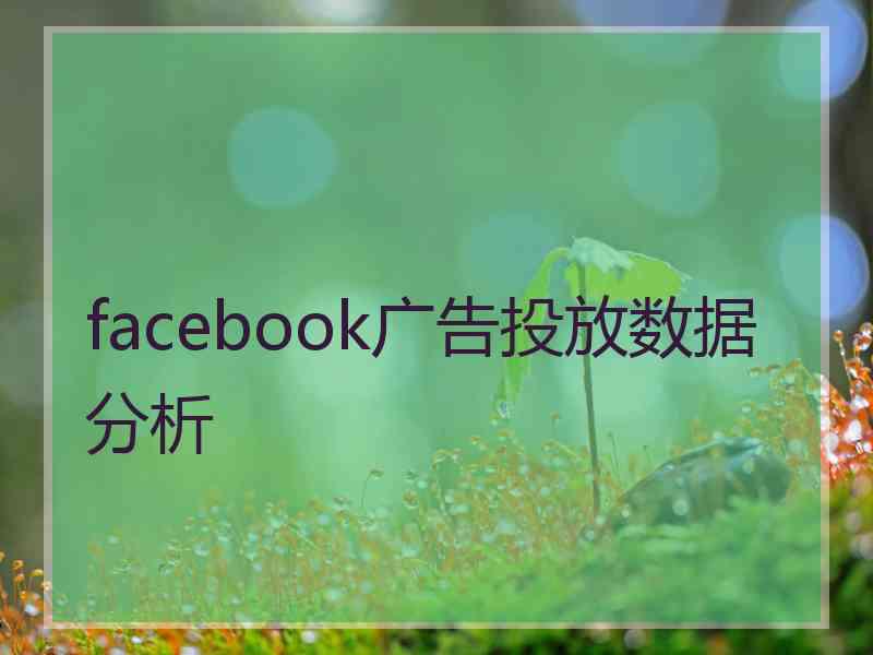 facebook广告投放数据分析