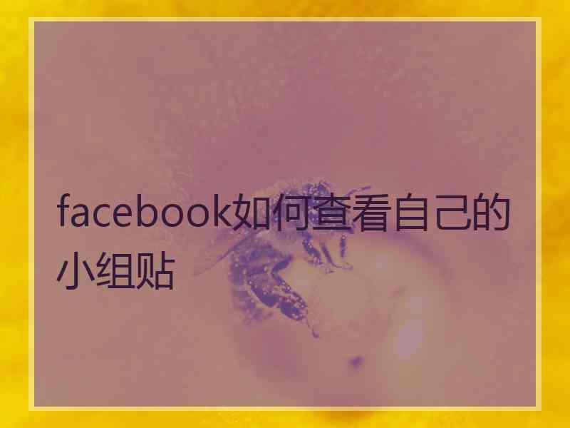 facebook如何查看自己的小组贴