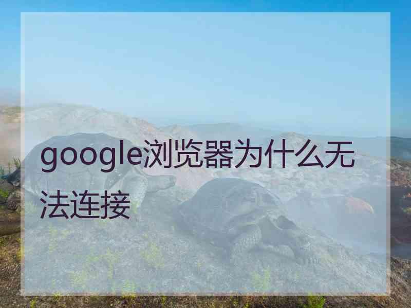 google浏览器为什么无法连接