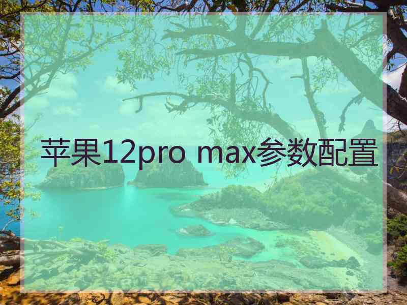 苹果12pro max参数配置