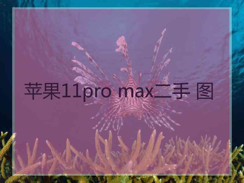 苹果11pro max二手 图