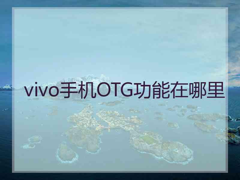 vivo手机OTG功能在哪里