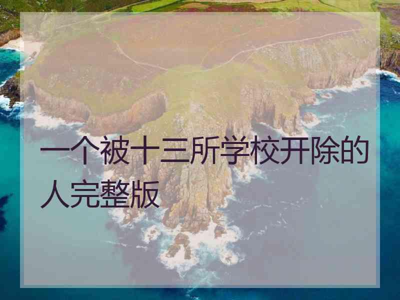 一个被十三所学校开除的人完整版