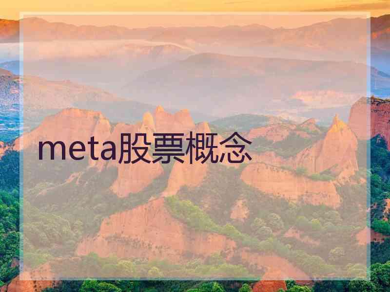 meta股票概念