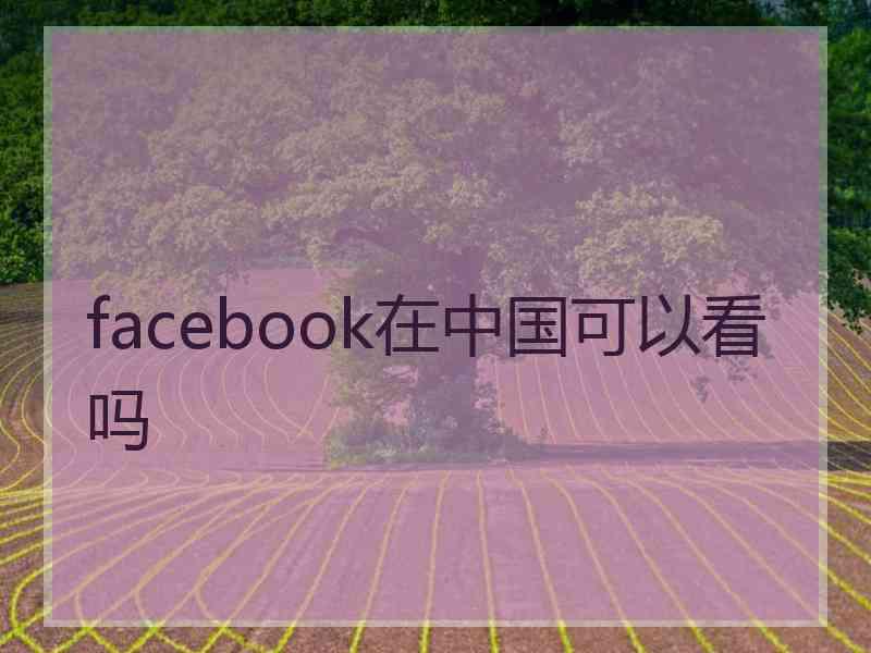 facebook在中国可以看吗