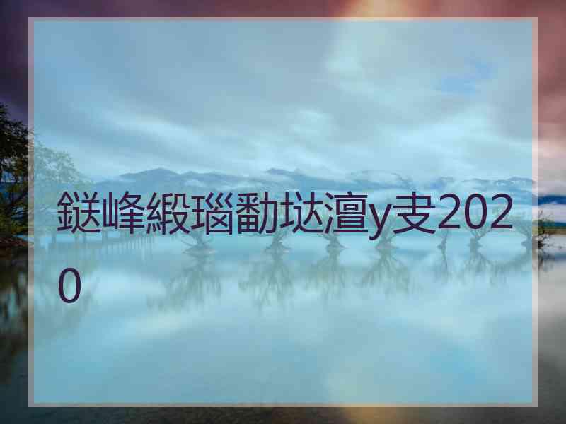 鎹峰緞瑙勫垯澶у叏2020