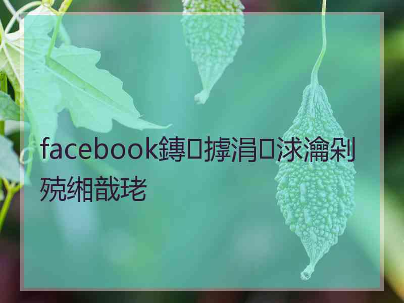 facebook鏄摢涓浗瀹剁殑缃戠珯