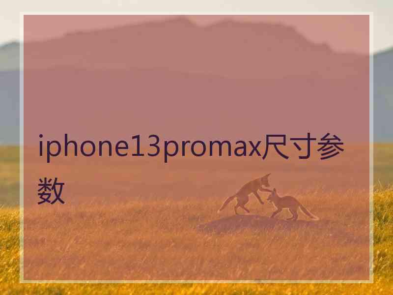 iphone13promax尺寸参数