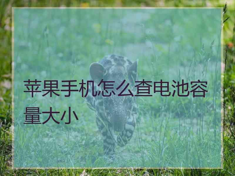 苹果手机怎么查电池容量大小