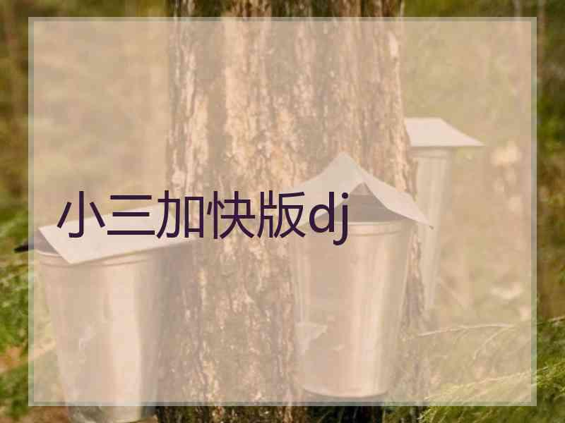 小三加快版dj