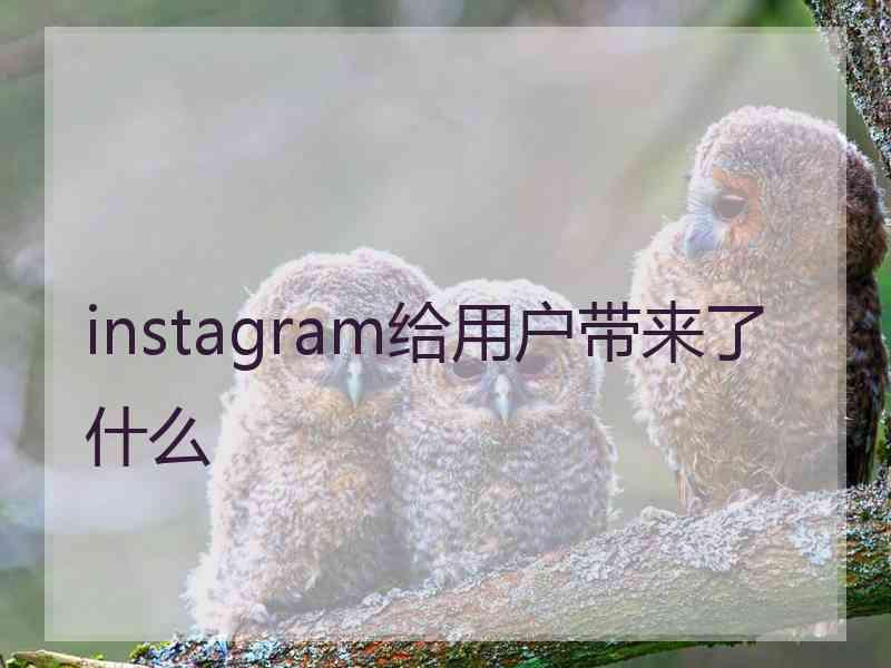 instagram给用户带来了什么