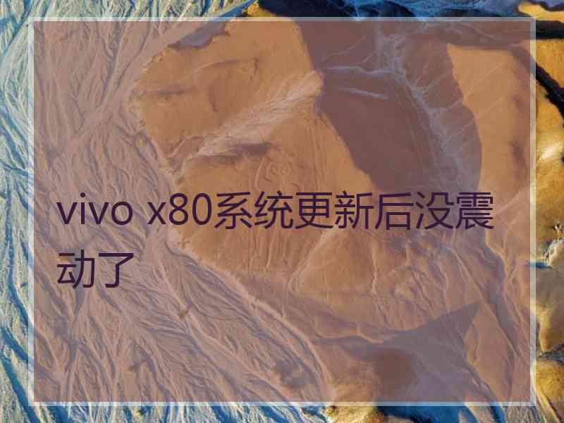 vivo x80系统更新后没震动了