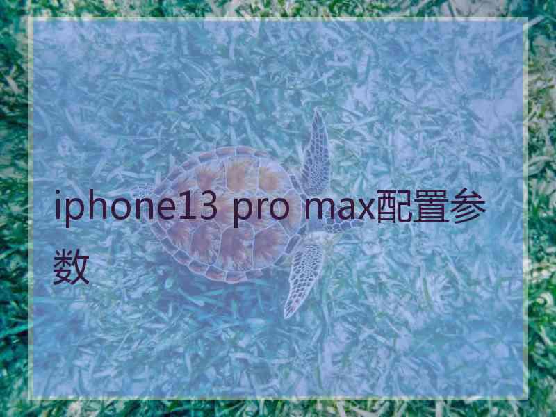 iphone13 pro max配置参数