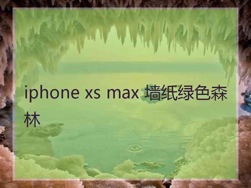 iphone xs max 墙纸绿色森林