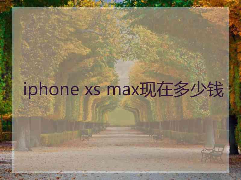 iphone xs max现在多少钱