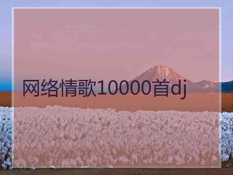 网络情歌10000首dj