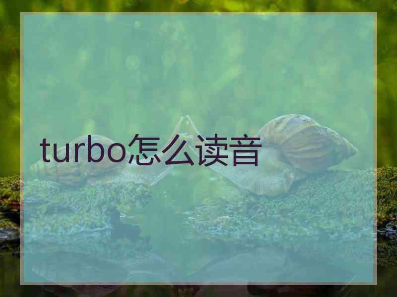 turbo怎么读音