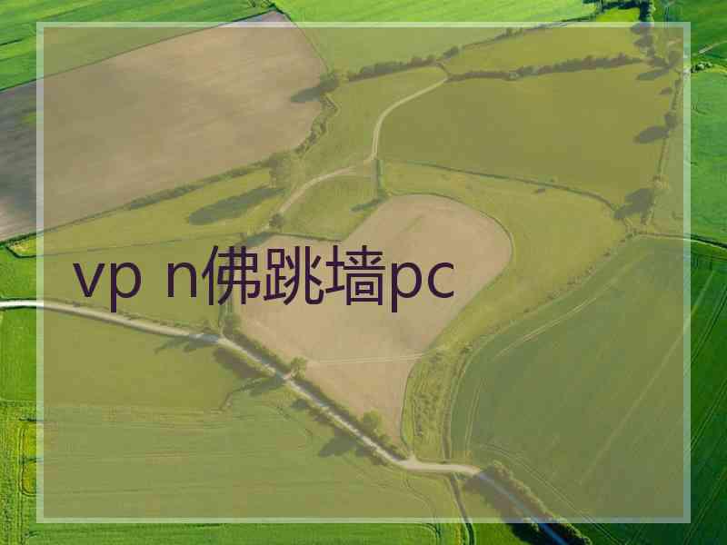 vp n佛跳墙pc