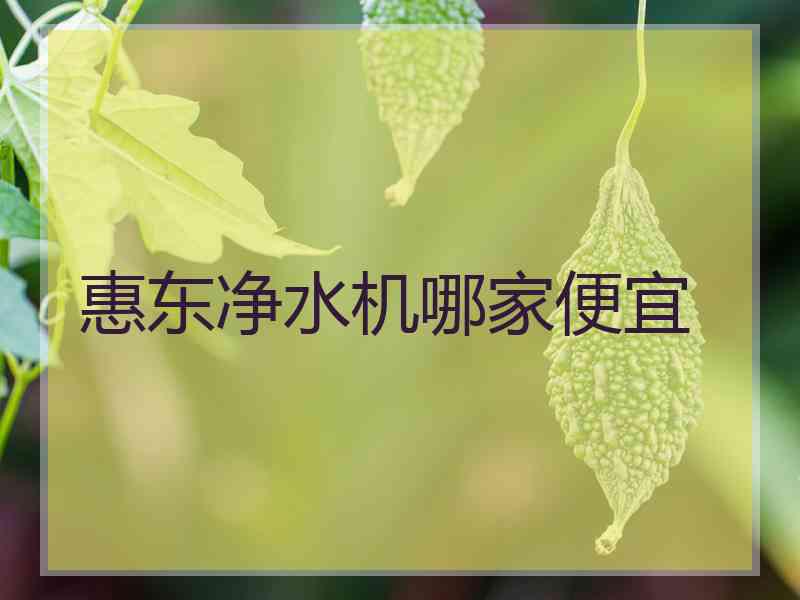 惠东净水机哪家便宜