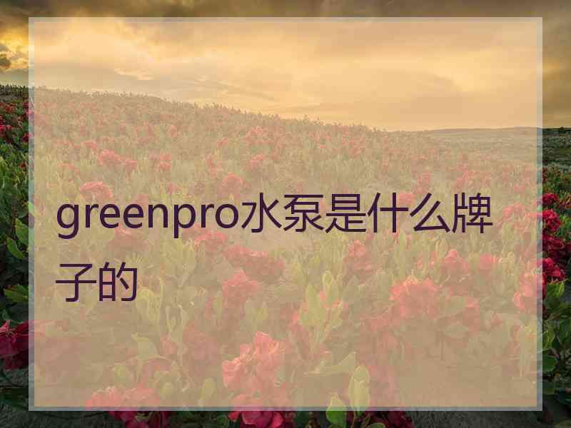 greenpro水泵是什么牌子的